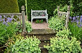 Terraced seating area Alchemilla mollis ladys mantle