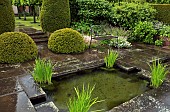 The lower rill garden, with box pudding yew