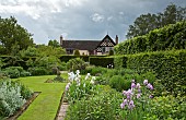 Twin borders bursting with herbaceous perennials