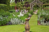 Twin borders including Iris and herbaceaous perennials