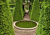 Yew Spires in the well garden room