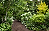 Orchard garden a variety trees and shrubs, with beautiful foliage