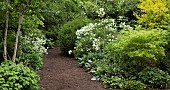 Orchard garden a variety trees and shrubs, with beautiful foliage