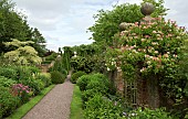 Herbaceous Border in Outstanding country garden