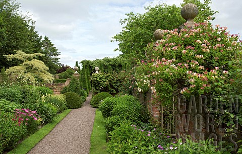 Herbaceous_Border_in_Outstanding_country_garden