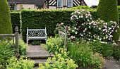 Rosa Fantin-Latour Centifolia Rose