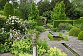 Rosa Fantin-Latour Centifolia Rose