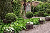 Semi formal garden containers with Standard Box with Petunia Surfinia Series