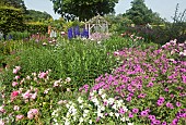 Wide borders of herbaceous perennials