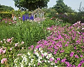 Wide borders of herbaceous perennials