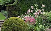 Shapped box pudding, yew hedge, herbaceous perennials