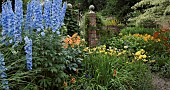 Delphinium elatum Centurion Sky