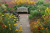 Hot Border with Ligularia przewalskii Hemerocallis Day Lilly Achillea Golden Fleece