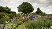 Twin borders of many colours and varieties of herbaceous perrenials