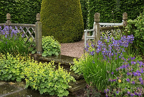 Terraced_seating_area_with_Alchemilla_mollis_ladys_mantle_with_blue_Iris_against_oak_fencing