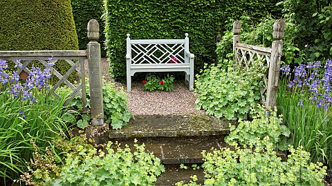 Terraced_seating_area_with_Alchemilla_mollis_ladys_mantle_with_blue_Iris_against_oak_fencing