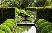 Two rows of Buxus sempervirens balls in the upper rill garden