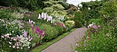 Main border with a definite emphasis on herbaceous perennials