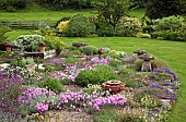 Alpine garden planted with many aromatic alpines amongest the gravel