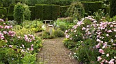 Scented Garden paved path leading to box hedging with stone bench ornate sundial