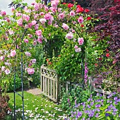 Garden View with rose arch and footpath to gate