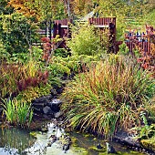 Autumn garden feature