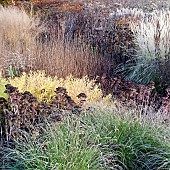 Stunning borders in late autumn with rich autumnal russet tones, tints