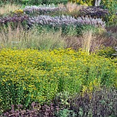 Stunning borders in autumn from ornamental grasses and perennials