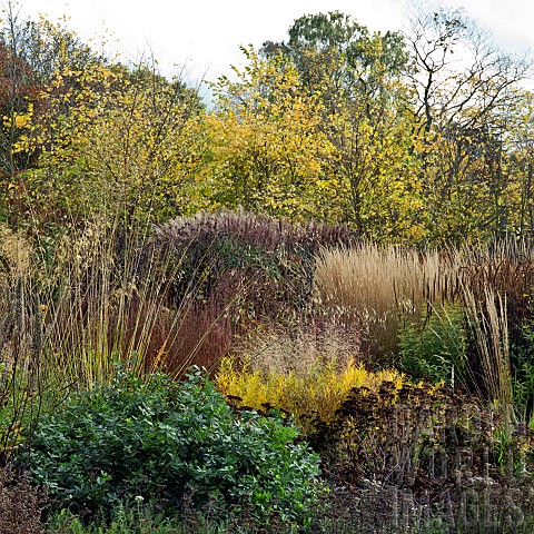 Stunning_borders_in_autumn_from_ornamental_grasses_and_perennials