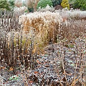 Frosted borders of hebaceous perennials and ornamental grasses