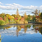 Picturesque aboretum large pond and Monet bridge