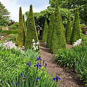 Outstanding country garden with impressive tall yew spires in a cruciform, carved limestone wellhead, in the Well Garden, formality the resulting linearity creating several vistas at Wollerton Old Hall (NGS) Market Drayton in Shropshire early summer June