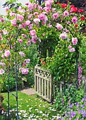 Garden View with rose arch and footpath to gate