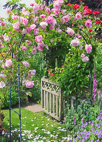 Garden_View_with_rose_arch_and_footpath_to_gate