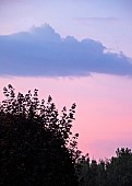 Twighlight showing silhouettes of nature backlit by a by a disappearing summer sun