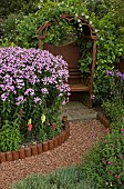 Phlox Bright Eyes