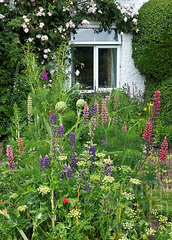 Cottage_Garden_with_summer_flowering_herbaceous_perennials