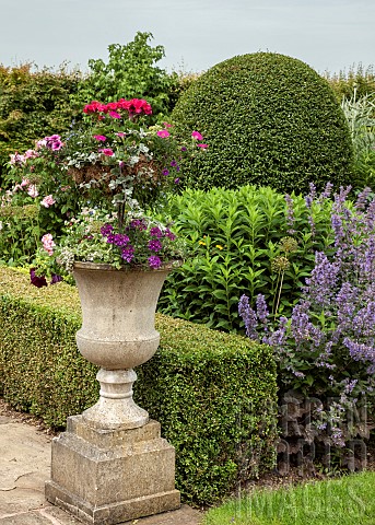 Stone_urn_on_plith_with_well_planted_colour_themed_anuanls