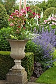 Ornate container planted to annual borders of herbaceous perennials in summerJuly at Wilkins Pleck (NGS) Whitmore Staffordshire Midlands England UK