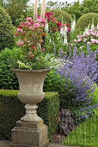 Ornate_container_planted_to_annual_borders_of_herbaceous_perennials_in_summerJuly_at_Wilkins_Pleck_N