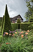 Impressive tall yew spires line the wide grass paths, yew hedges edge borders of herbaceous perennials,