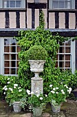 Ornate stone urns isingle white themed Pelagonium Geranium