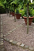 Path design of cobbles and gravel in country garden with a definite emphasis on perennials strong design and formality the resulting linearity creating several vistas at Wollerton Old Hall (NGS) Market Drayton in Shropshire early summer June
