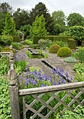 Buxus sempervirens balls splendid york stone