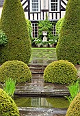 Tall Yew Yew shaped puddings leading to the house