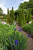 Outstanding country garden with impressive tall yew spires in a cruciform