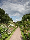 Main border with a definite emphasis on herbaceous perennials