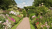 Main border with a definite emphasis on herbaceous perennials