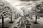 Infrared photograph of a classic English garden