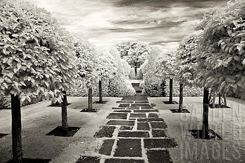 Infrared_photograph_of_a_classic_English_garden
